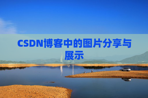 CSDN博客中的图片分享与展示